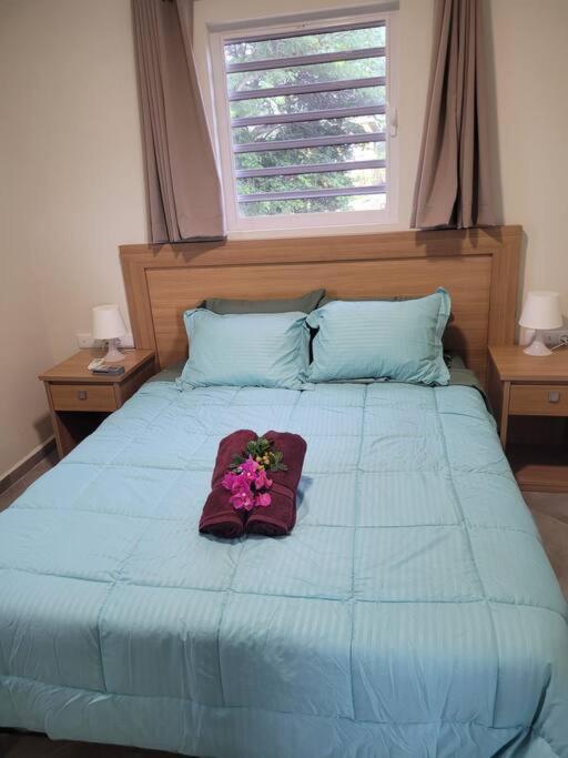 Local Willibrord Lodge Willibrordus المظهر الخارجي الصورة