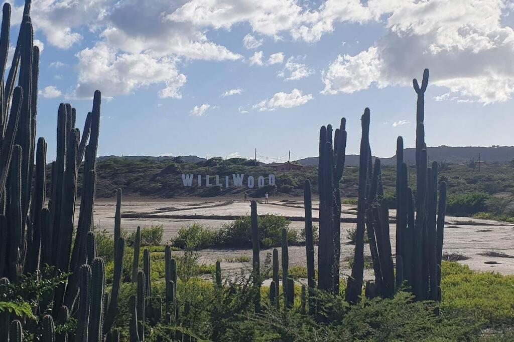 Local Willibrord Lodge Willibrordus المظهر الخارجي الصورة